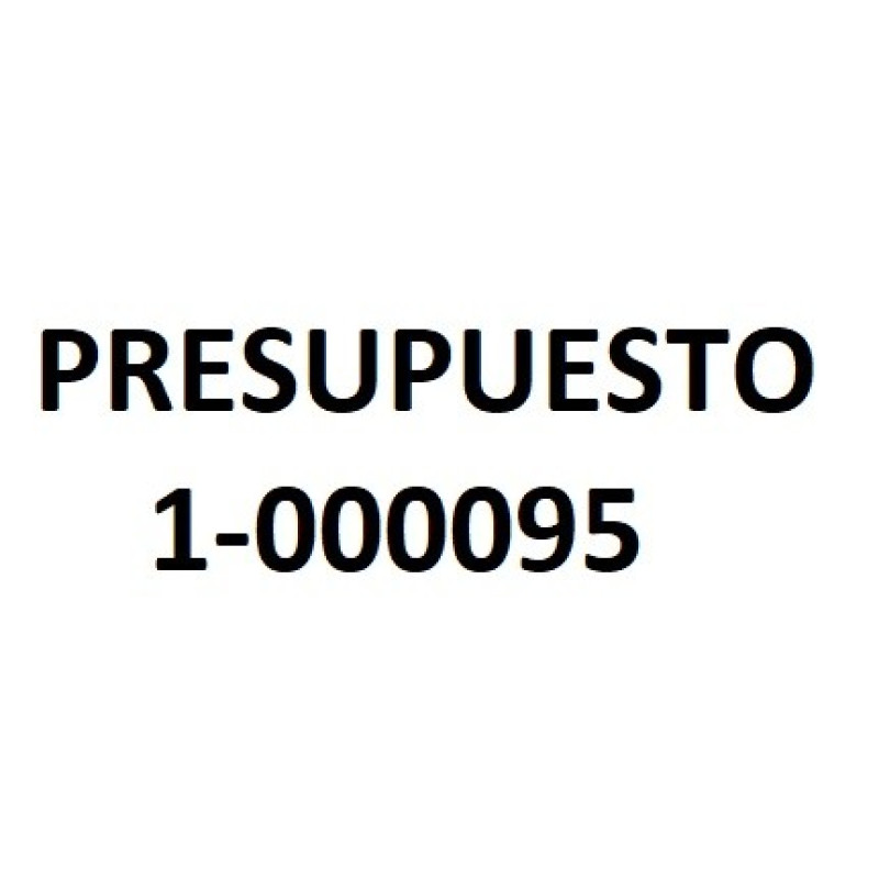 PRESUPUESTO 1-000095