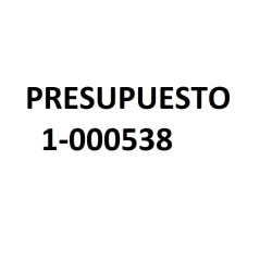 PRESUPUESTO 1-000538
