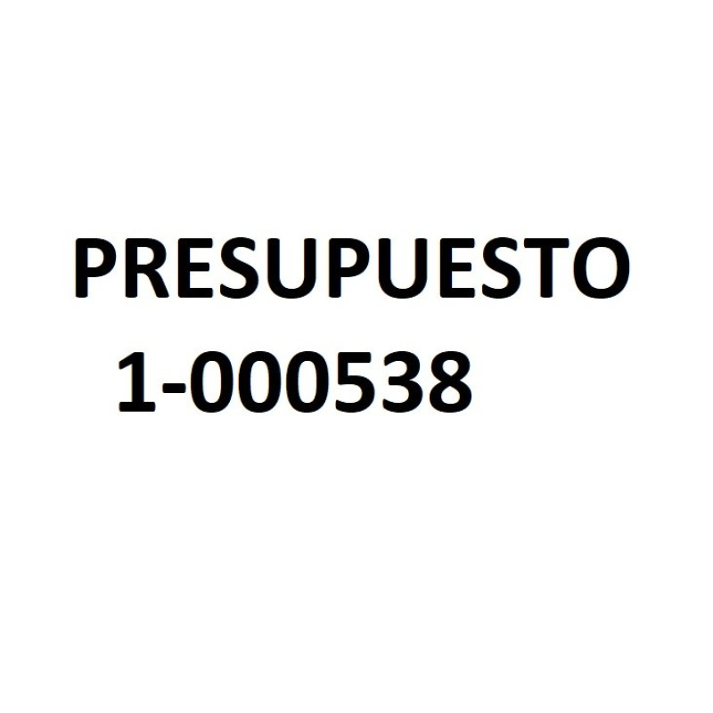 PRESUPUESTO 1-000538