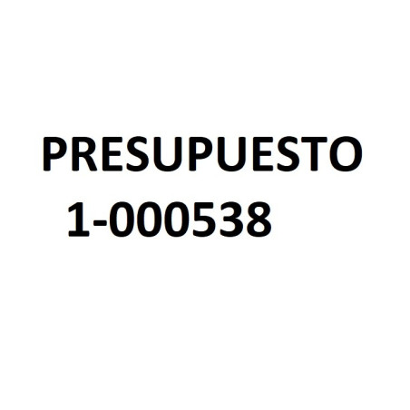 PRESUPUESTO 1-000538