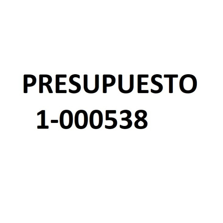PRESUPUESTO 1-000538