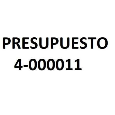PRESUPUESTO 4-000011