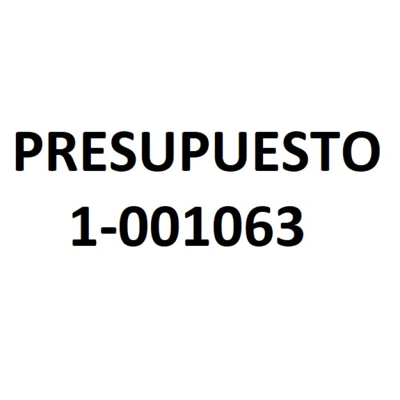 PRESUPUESTO 1-001063