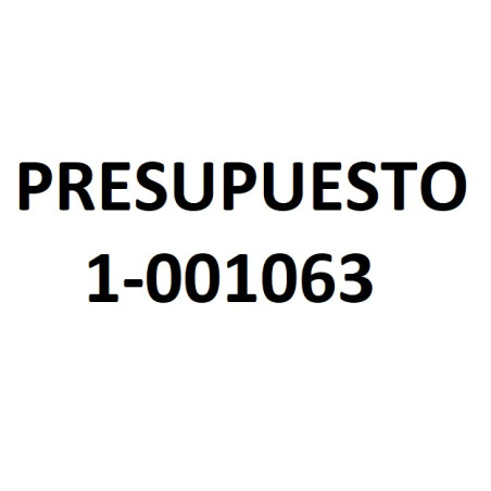 PRESUPUESTO 1-001063