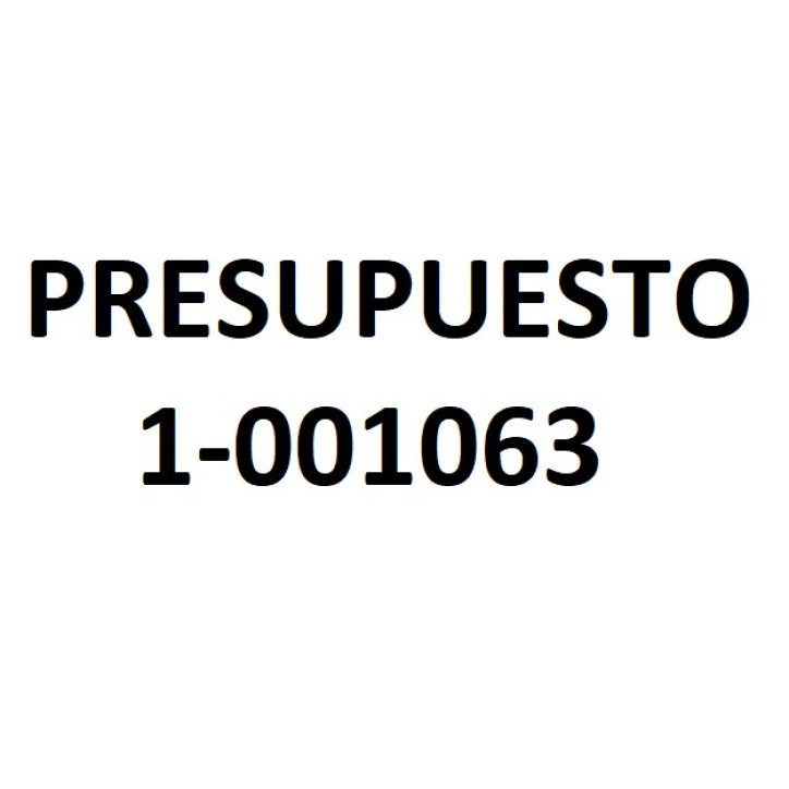PRESUPUESTO 1-001063