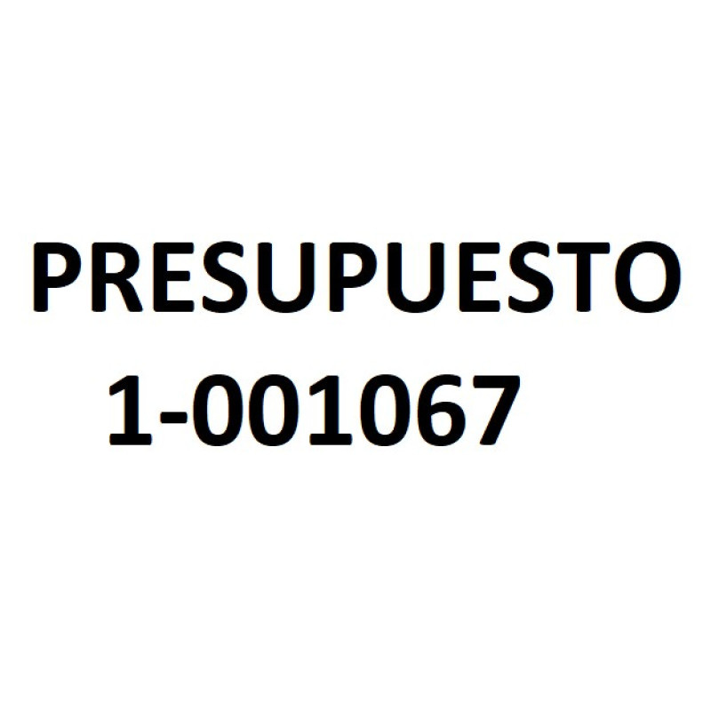 PRESUPUESTO 1-001067