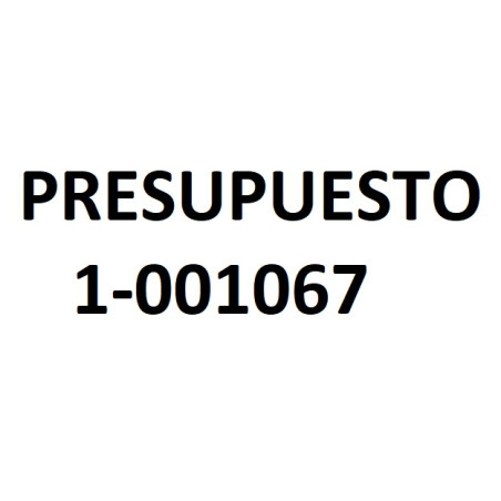 PRESUPUESTO 1-001067