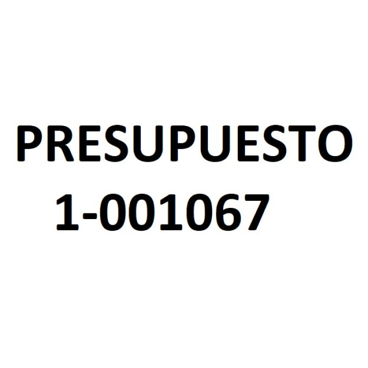 PRESUPUESTO 1-001067
