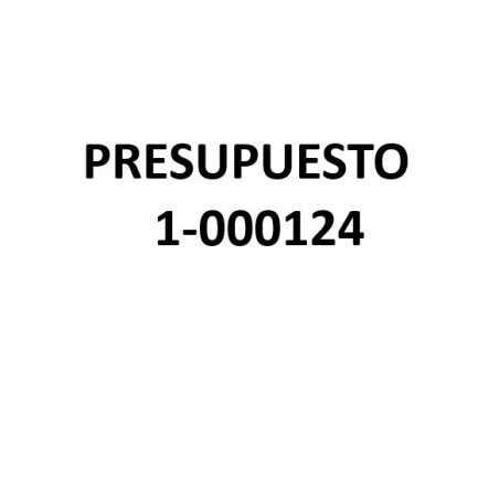 PRESUPUESTO LITIO 1-000124