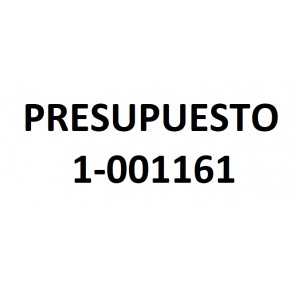 PRESUPUESTO 1-001161