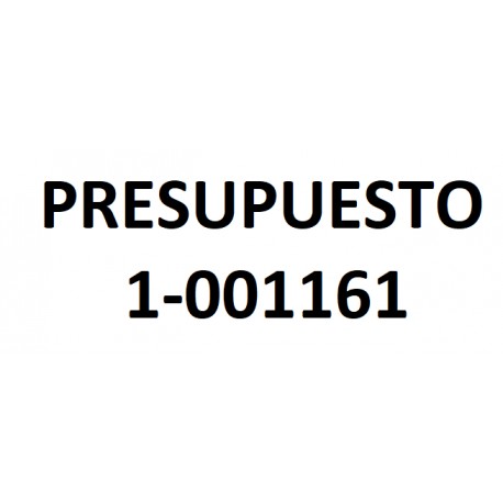 PRESUPUESTO 1-001161