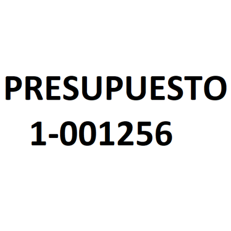 PRESUPUESTO 1-001256