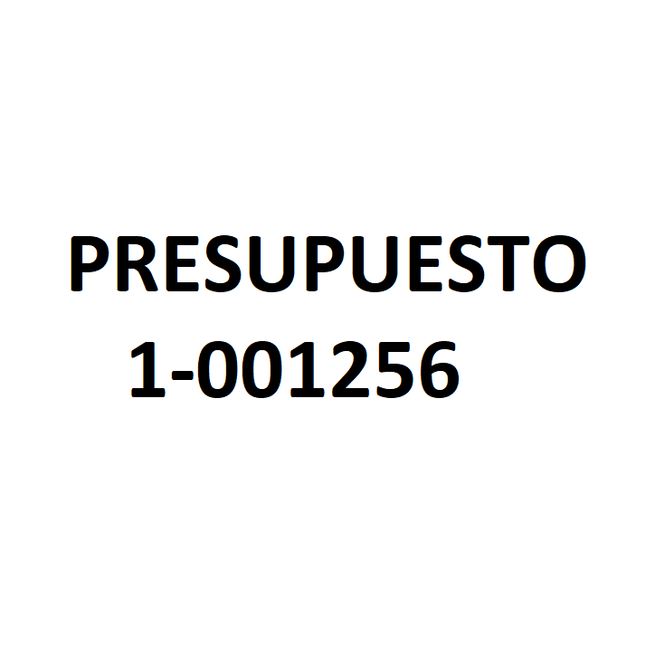 PRESUPUESTO 1-001256