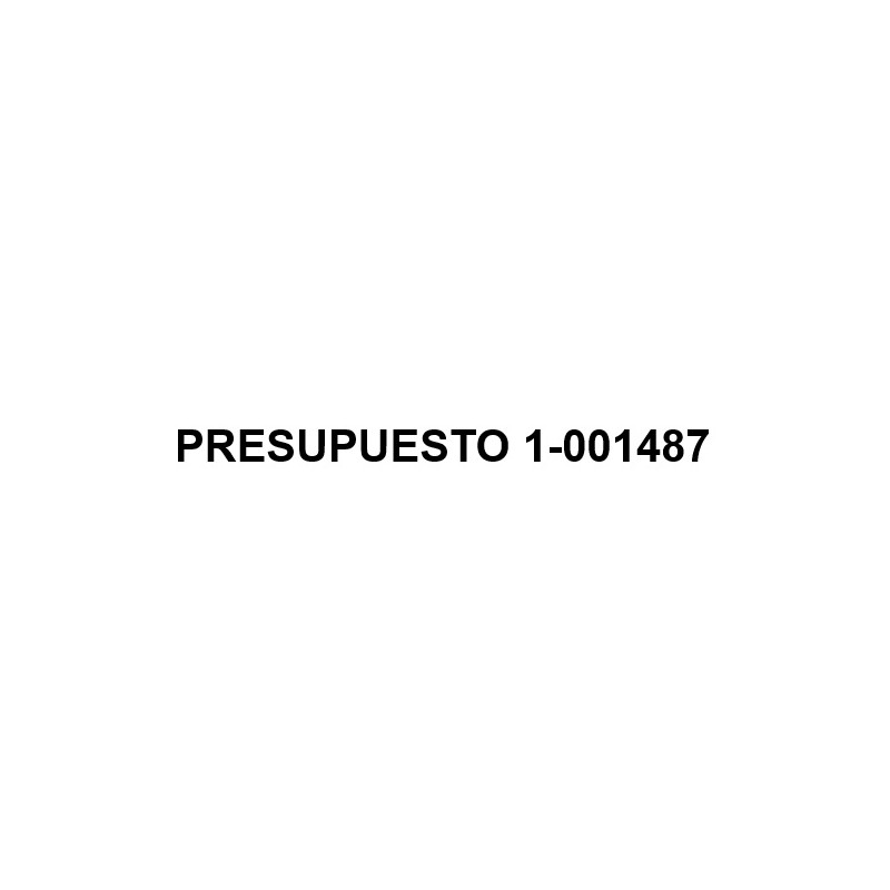 PRESUPUESTO 1-001487