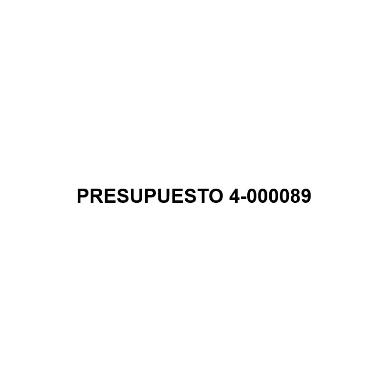 PRESUPUESTO 4-000089